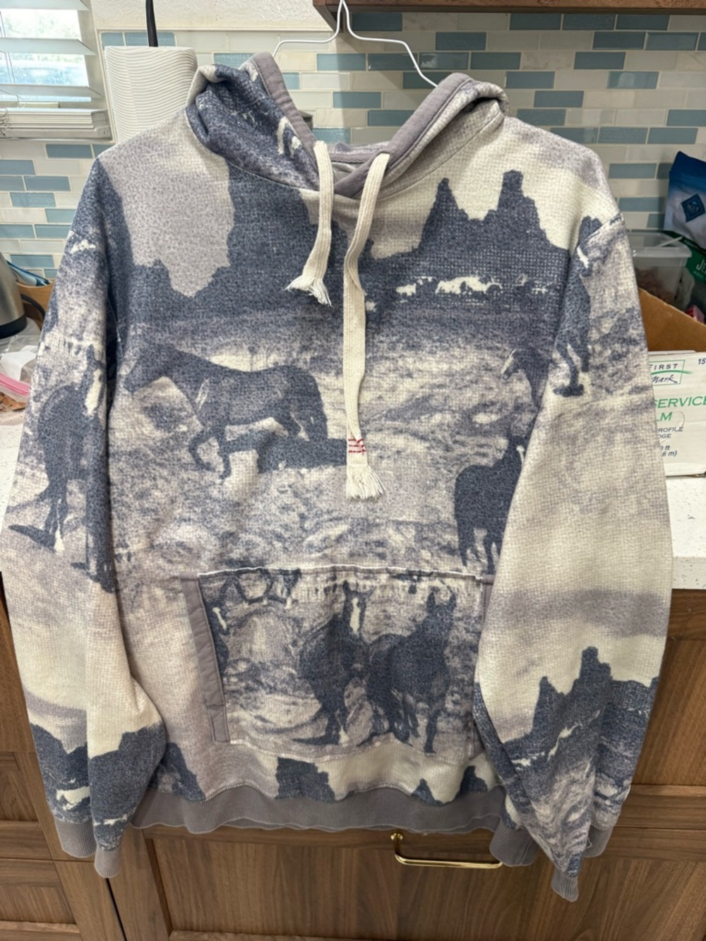 BDG Urban Outfitters Men's Hooded Pullover Sweatshirt